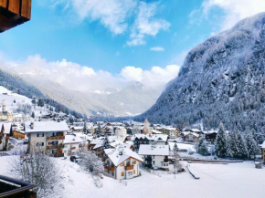 Cèsa Cherpei - Dog Friendly Campitello Die Fassa